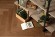 PARQUET Herringbone IS11200 Паркет Винсент