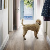 Паркетная доска Kahrs Pure Walnut 1-но пол МЛ (1,74 м2)