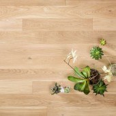 Паркетная доска Coswick Дуб Ванильный (1153-3508) Шелковое масло ультраматовое 2 м2 Паркетная доска Coswick Дуб Ванильный (1153-3508) Шелковое масло ультраматовое 2 м2